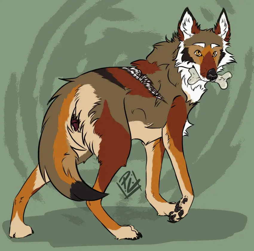 Image hi_res,solo,male,pussy,tail,intersex,eyebrows,canid,canine,canis,fur,genitals,mammal,claws,paws,cuntboy,brown_fur,animal_genitalia,canine_genitalia,markings,tuft,brown_body,dipstick_tail,tail_markings,feral,animal_pussy,quadruped,bone,pawpads,inner_ear_fluff,coyote,yops_(psychedelicyops),canine_pussy,wearycanine