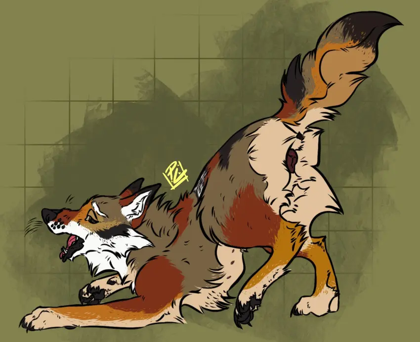 Image open_mouth,solo,male,pussy,tail,intersex,anus,canid,canine,canis,fur,genitals,mammal,claws,paws,cuntboy,brown_fur,animal_genitalia,canine_genitalia,markings,brown_body,dipstick_tail,tail_markings,feral,animal_pussy,quadruped,pawpads,coyote,yops_(psychedelicyops),canine_pussy,wearycanine