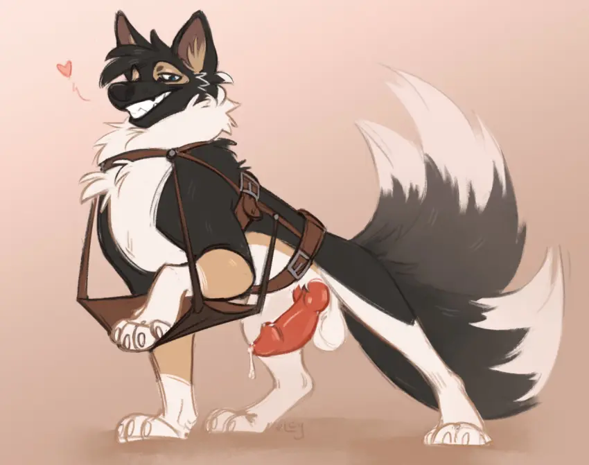 Image looking_at_viewer,simple_background,smile,solo,standing,male,penis,tail,erection,smiling_at_viewer,digital_media_(artwork),teeth,balls,anthro,inviting,2022,canid,canine,canis,domestic_dog,fur,genitals,mammal,claws,paws,narrowed_eyes,signature,animal_genitalia,animal_penis,canine_genitalia,canine_penis,fluffy,knot,markings,dipstick_tail,tail_markings,feral,heart_symbol,harness,tail_motion,tailwag,elcy
