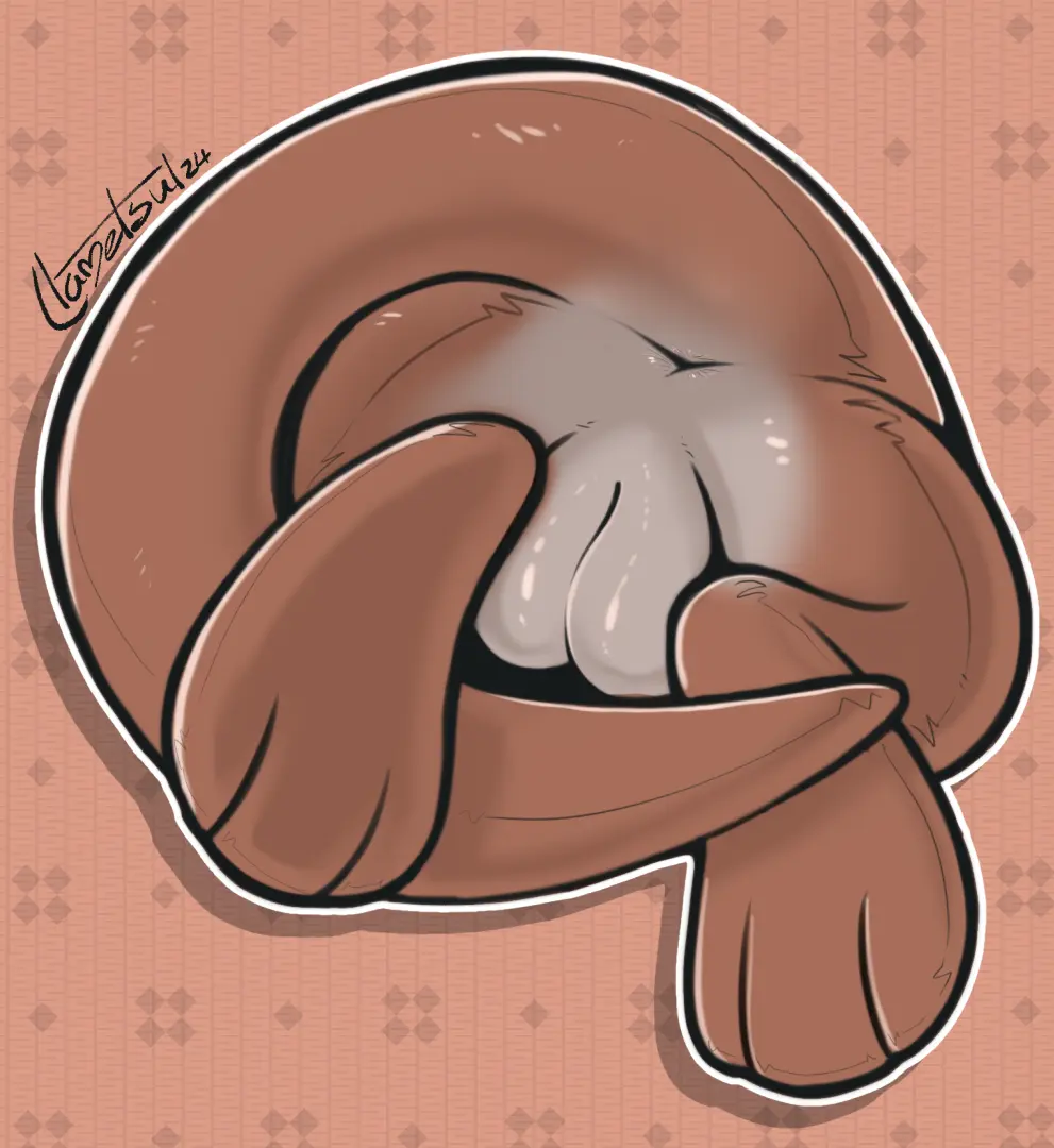 Image female,simple_background,solo,tail,furry,ass,feet,digital_media_(artwork),anus,mammal,multicolored_body,two_tone_body,rear_view,faceless_female,2024,signature,toes,3_toes,marsupial,faceless_character,llametsul,pattern_background,kangaroo,macropod