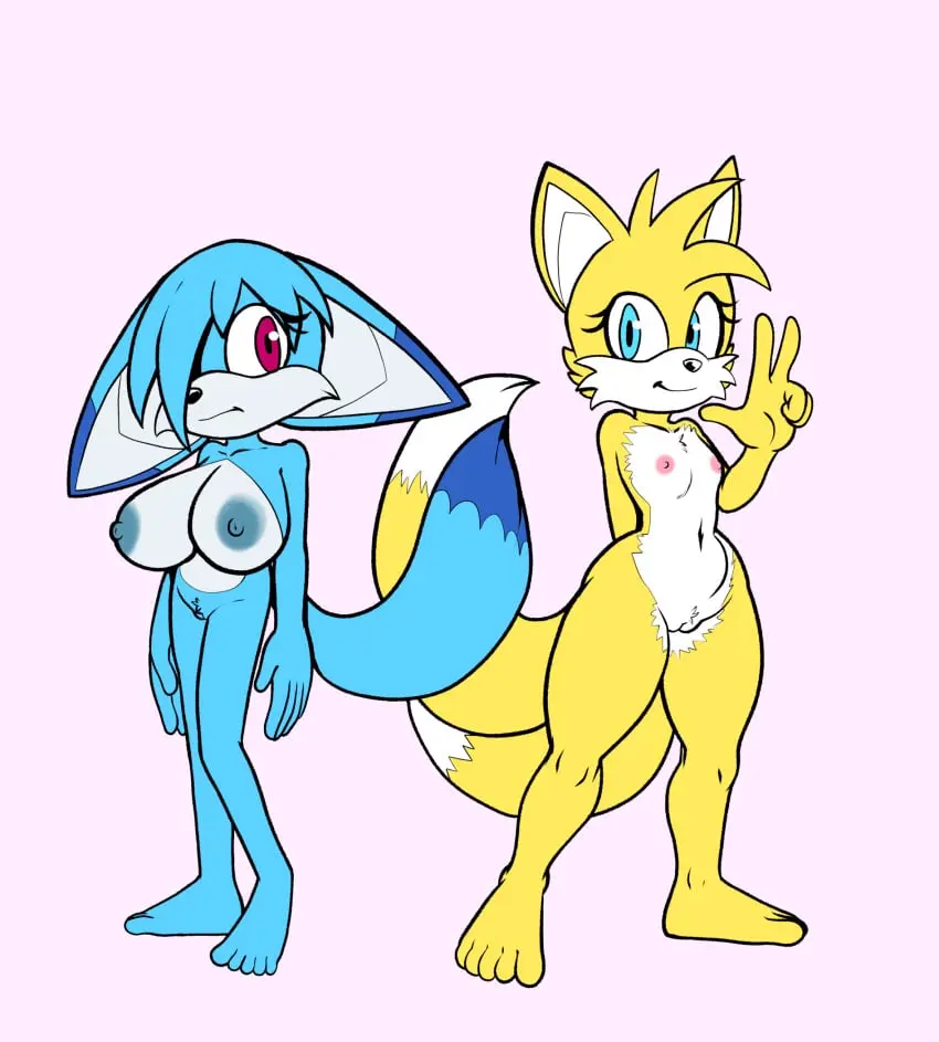 Image big_breasts,breasts,female,hi_res,blue_eyes,small_breasts,duo,wide_hips,huge_breasts,anthro,purple_eyes,canid,canine,mammal,yellow_body,blue_body,sega,sonic_(series),sonic_the_hedgehog_(series),fox,gesture,hand_gesture,rule_63,sonic_the_hedgehog_(idw),tails_the_fox,v_sign,flat_colors,sonic_the_hedgehog_(comics),idw_publishing,fours_(artist),kitsunami_the_fennec,small_hips,tailsko