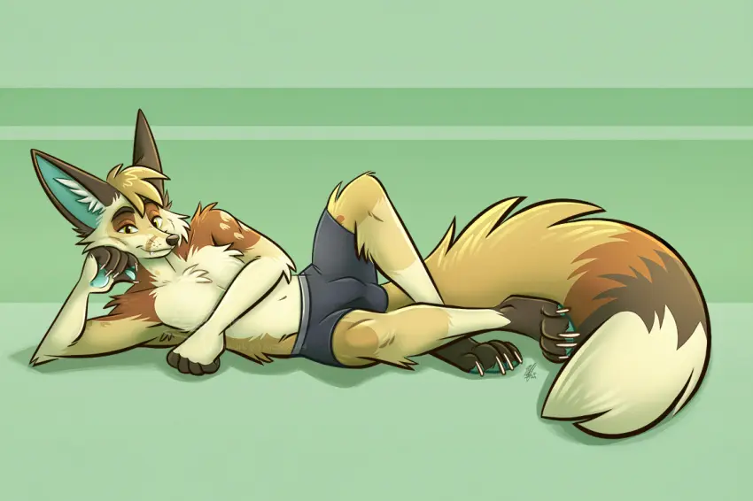 Image clothed,clothing,looking_at_viewer,simple_background,smile,solo,male,navel,tail,lying,underwear,barefoot,feet,smiling_at_viewer,digital_drawing_(artwork),digital_media_(artwork),eyebrows,anthro,on_side,pose,pinup,bulge,topless,underwear_only,canid,canine,fur,mammal,multicolored_body,multicolored_fur,2024,biped,big_ears,signature,fluffy,fluffy_tail,fox,tuft,detailed_bulge,fennec_fox,true_fox,red_fox,inner_ear_fluff,mouth_closed,head_tuft,boxer_briefs,boxer_briefs_only,closed_smile,nicnak044,riko_(kilometers)