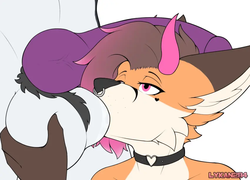 Image simple_background,male,oral,penis,sex,duo,erection,femboy,male/male,digital_media_(artwork),balls,anthro,saliva,bodily_fluids,canid,canine,fur,genitals,mammal,multicolored_body,girly,fox,knot,sucking,ball_suck,lykan284