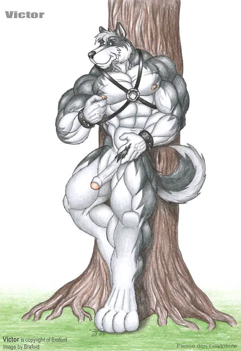 Image looking_at_viewer,nipples,smile,solo,white_hair,male,penis,erection,humanoid_penis,muscular,muscular_male,feet,pink_nipples,hair,anthro,veiny_penis,canid,canine,canis,domestic_dog,fur,genitals,mammal,multicolored_body,multicolored_fur,two_tone_body,two_tone_fur,muscular_anthro,black_body,foreskin,uncircumcised,5_fingers,black_nose,partially_retracted_foreskin,retracted_foreskin,white_body,tree,fingers,humanoid_genitalia,big_muscles,vein,toes,glans,plant,white_fur,black_fur,white_penis,digitigrade,4_toes,pink_glans,leaning_on_object,spitz,nordic_sled_dog,harness,leather,wristband,nipple_fetish,nipple_pinch,nipple_play,pinch,alaskan_malamute,huge_muscles,veiny_muscles,braford,leather_harness,victor_(braford)