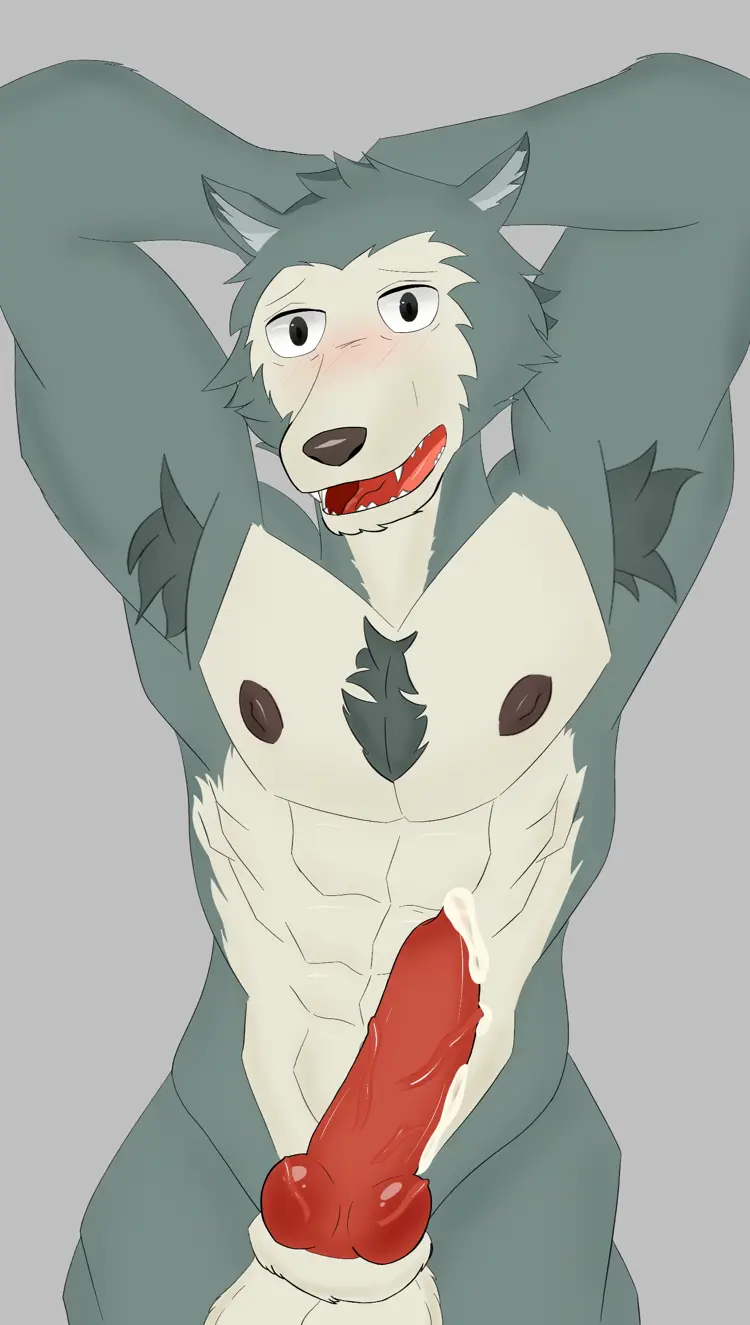 Image blush,hi_res,nipples,open_mouth,simple_background,solo,cum,male,nude,penis,erection,male/male,digital_media_(artwork),balls,anthro,genital_fluids,beastars,bodily_fluids,canid,canine,canis,fur,genitals,legoshi_(beastars),mammal,wolf,psxchoxiller_(artist)