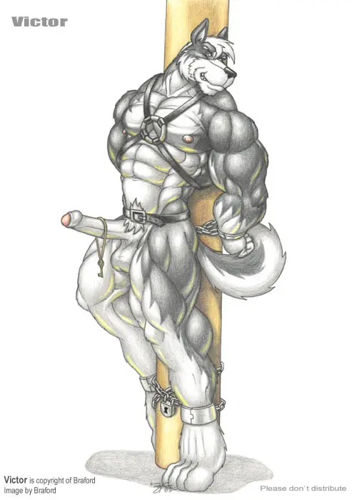 Image nipples,smile,solo,standing,white_hair,blue_eyes,male,penis,erection,humanoid_penis,muscular,muscular_male,feet,pink_nipples,male_only,grin,balls,hair,anthro,canid,canine,canis,domestic_dog,fur,genitals,mammal,multicolored_body,multicolored_fur,two_tone_body,two_tone_fur,muscular_anthro,black_body,belt,foreskin,uncircumcised,5_fingers,black_nose,bondage,partially_retracted_foreskin,retracted_foreskin,white_body,fingers,humanoid_genitalia,big_muscles,toes,glans,white_fur,pubes,chains,chained,bound,mostly_nude,black_fur,digitigrade,4_toes,pink_glans,spitz,nordic_sled_dog,harness,leather,alaskan_malamute,huge_muscles,tied_to_pole,lock,padlock,key,braford,leather_harness,victor_(braford)