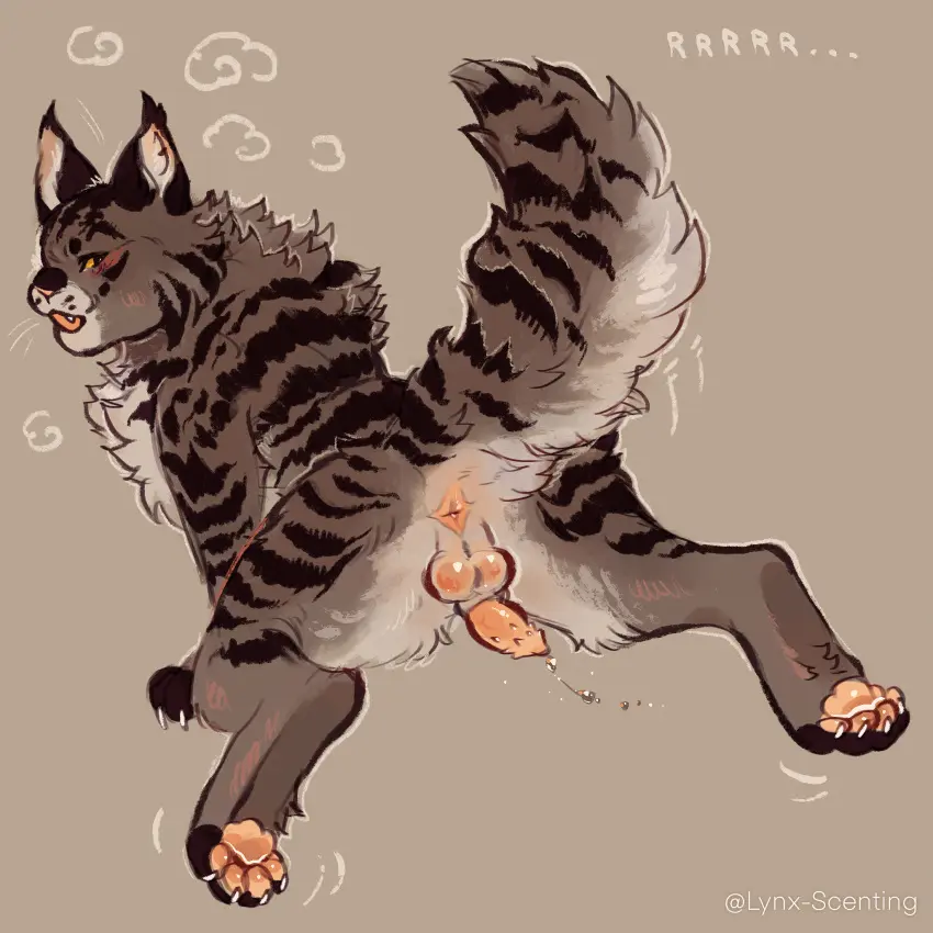 Image hi_res,open_mouth,solo,male,penis,balls,anus,genital_fluids,bodily_fluids,fur,genitals,mammal,precum,feline,brown_fur,animal_genitalia,animal_penis,brown_body,feral,felid,domestic_cat,felis,feline_genitalia,feline_penis,bramblestar_(warriors),lynx_scenting,warriors_(book_series)