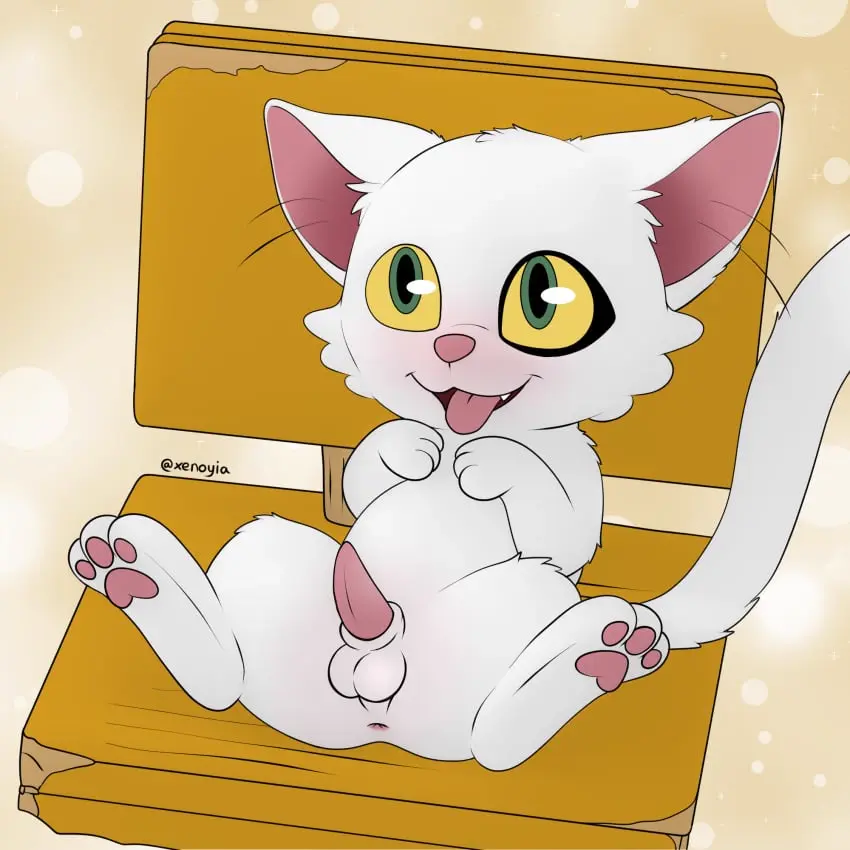 Image blush,hi_res,penis,tongue_out,lying,on_back,tongue,balls,anus,presenting,fur,genitals,mammal,feline,white_body,furniture,animal_genitalia,sheath,1:1,white_fur,feral,felid,domestic_cat,felis,chair,tapering_penis,cute_fangs,xenoyia_(artist),daijin_(suzume),suzume