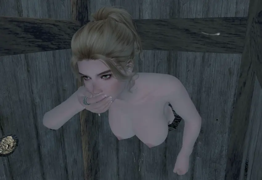 Image 1girls,breasts,female,female_only,nipples,pink_nipples,3d,the_elder_scrolls,covering_mouth,skyrim,stuck,nord,glory_hole,medieval,fallingtho,gerdur,modded,realization