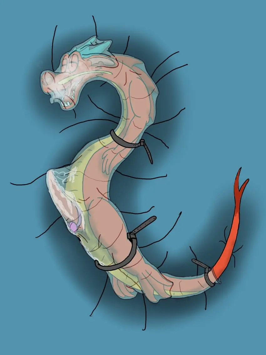 Image hi_res,simple_background,solo,cum,male,mythology,condom,genital_fluids,orgasm,bodily_fluids,latex,asphyxiation,reptile,scalie,mythological_creature,dragon,mythological_scalie,breath_play,sexual_barrier_device,rathkin,zip_tie