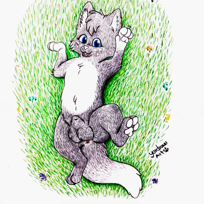 Image hi_res,smile,solo,male,penis,lying,on_back,balls,anus,spread_legs,spreading,absurd_res,legs_up,canid,canine,fur,genitals,mammal,paws,animal_genitalia,animal_penis,canine_genitalia,canine_penis,plant,feral,pawpads,grass,lying_on_ground,bent_legs,legs_in_air,yordraw