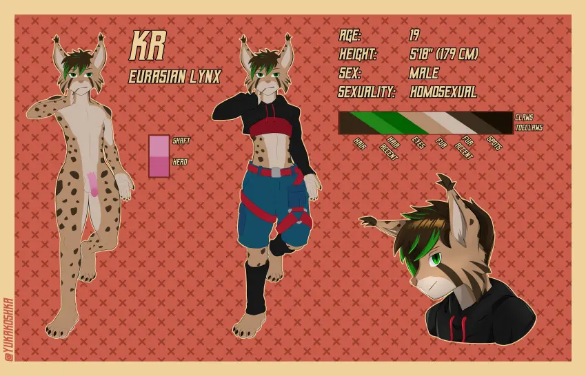 Image hi_res,solo,male,anthro,absurd_res,mammal,feline,felid,model_sheet,lynx,kr_the_lynx