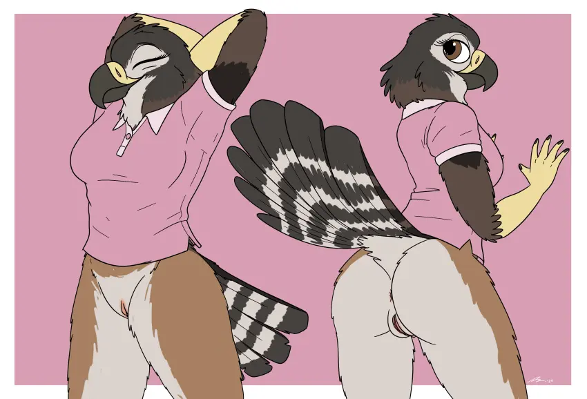 Image clothed,clothing,female,hi_res,shirt,solo,pussy,tail,ass,hands_behind_head,anthro,anus,pose,presenting,genitals,short_sleeves,bottomless,presenting_hindquarters,avian,bird,bottomless_female,topwear,raised_tail,pink_clothing,pink_topwear,pink_shirt,multiple_poses,accipitrid,accipitriform,bottomless_anthro,polo_shirt,fish_birb,buteo,holly_(fish_birb),swainson's_hawk