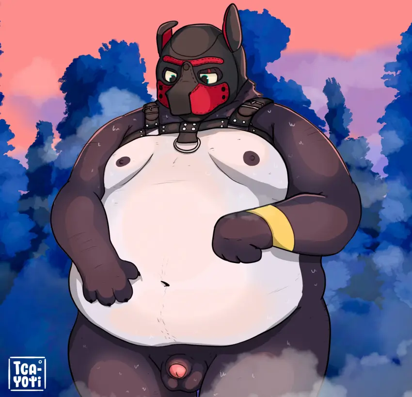 Image clothing,hi_res,nipples,solo,1boy,male,nude,penis,ass,big_butt,male_only,yaoi,belly,digital_drawing_(artwork),digital_media_(artwork),shaded,anthro,bara,slightly_chubby,fur,genitals,mammal,pecs,fat_male,bondage,bear,fat,overweight,obese,mask,overweight_male,body_hair,petplay,armpit_hair,portrait,puppyplay,animal_mask,roleplay,obese_male,t_cayoti,pup_mask