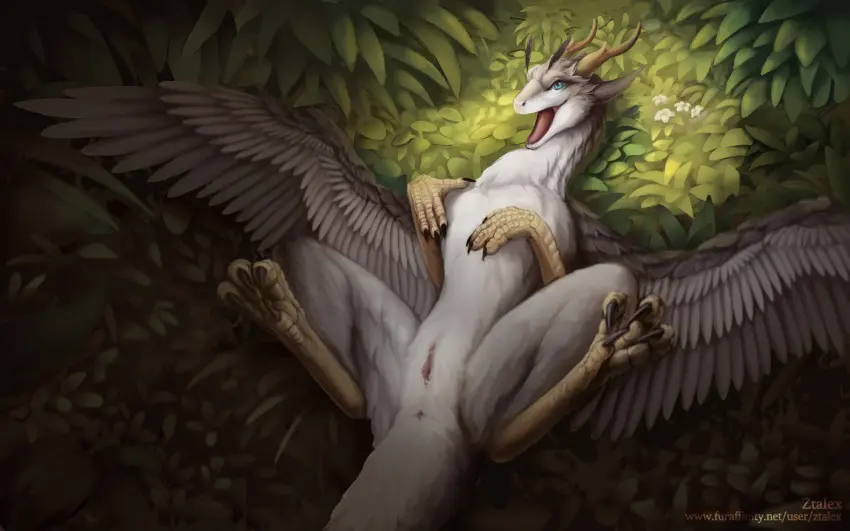 Image female,hi_res,solo,pussy,artist_name,feathered_wings,feathers,wings,text,anus,mythology,fur,genitals,grey_body,grey_fur,claws,horn,white_body,scalie,mythological_creature,dragon,mythological_scalie,white_fur,feral,url,black_claws,pink_anus,yellow_horn,pink_pussy,ztalex