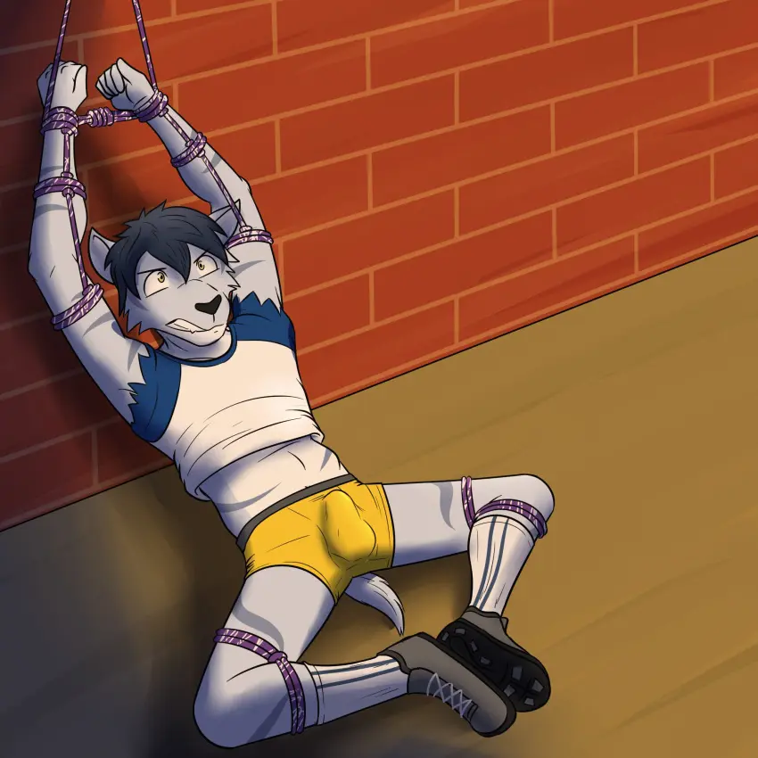 Image clothed,clothing,hi_res,shirt,solo,male,underwear,arms_above_head,anthro,socks,bulge,footwear,mammal,bondage,raised_clothing,raised_shirt,raised_topwear,topwear,felid,shoes,t-shirt,bound,restraints,on_ground,rope,pantsless,rope_bondage,hands_tied,boxer_briefs,arms_tied,legs_tied,fuze