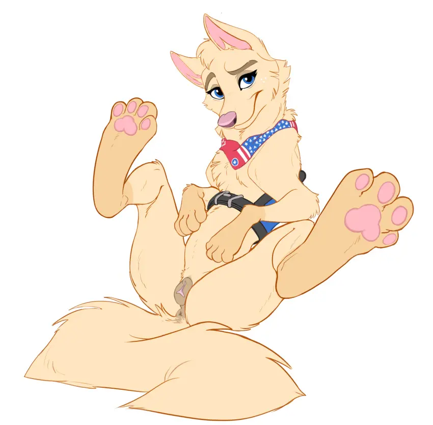 Image female,hi_res,looking_at_viewer,simple_background,smile,solo,white_background,blue_eyes,pussy,lying,on_back,eyebrows,anthro,tan_body,anus,spread_legs,spreading,original_character,absurd_res,presenting,canid,canine,canis,domestic_dog,genitals,mammal,paws,2024,biped,animal_genitalia,canine_genitalia,fluffy,tuft,feral,presenting_pussy,animal_pussy,pawpads,canine_pussy,mouth_closed,american_flag,head_tuft,neckerchief,facial_tuft,closed_smile,cheek_tuft,kerchief,united_states_of_america,wugi
