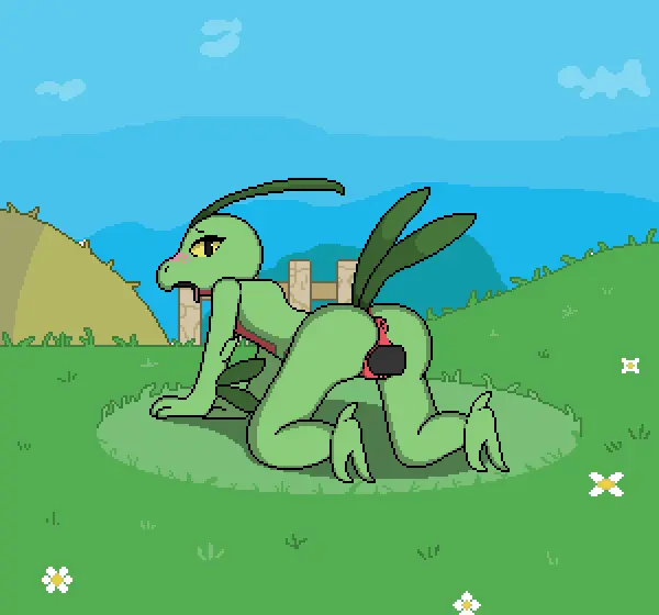 Image blush,female,cum,male,nude,penis,pokemon,pokemon_(species),pussy,tail,tongue_out,yellow_eyes,tongue,ass,bedroom_eyes,looking_back,seductive,sex,duo,sky,digital_media_(artwork),eyelashes,from_behind_position,male/female,anthro,anus,vaginal_penetration,penis_in_pussy,closed_eyes,looking_pleasured,nintendo,penetration,genital_fluids,orgasm,animated,bodily_fluids,genitals,multicolored_body,two_tone_body,flower,all_fours,narrowed_eyes,arm_support,green_body,penile,plant,detailed_background,heart_symbol,fence,orgasm_face,red_body,penile_penetration,wood,grass,heart_eyes,generation_3_pokemon,pseudo_hair,pixel_(artwork),pixel_animation,leaf,plant_hair,leaf_hair,leaf_tail,grovyle,imactuallygarbage,wood_fence