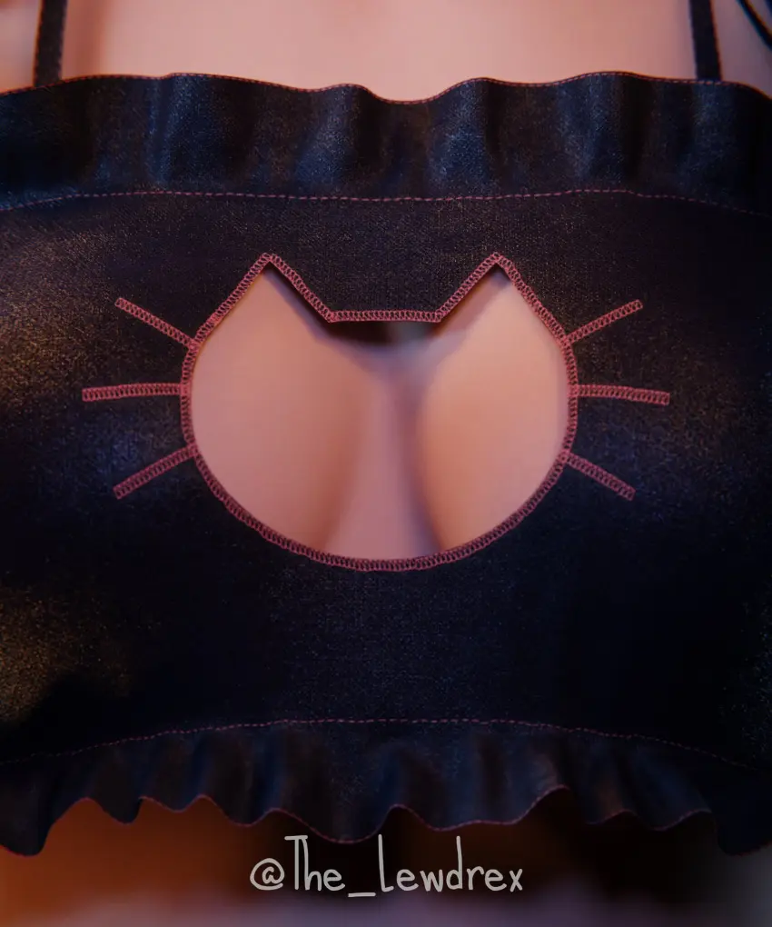 Image 1girls,breasts,female,female_only,hi_res,highres,light-skinned_female,light_skin,solo,bra,female_focus,cat_girl,watermark,cleavage,solo_focus,fortnite,medium_breasts,3d,blender,3d_(artwork),breast_focus,fortnite:_battle_royale,epic_games,boob_window,cat_costume,lewdrex,rio_(fortnite)
