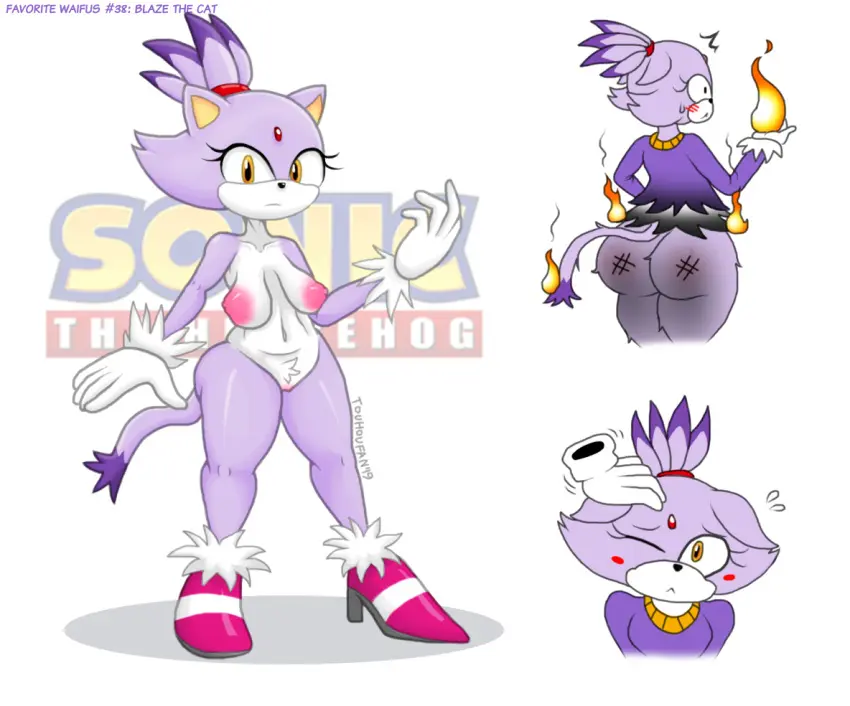 Image female,huge_ass,tagme,sonic_(series),sonic_the_hedgehog_(series),blaze_the_cat,touhoufan