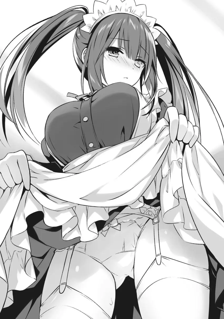 Image big_breasts,blush,breasts,female,thighhighs,panties,thighs,twintails,black_and_white,maid,maid_outfit,maid_uniform,low-angle_view,white_panties,heterochromia,garter_belt,skirt_lift,garter_straps,date_a_live,official_art,mouth_closed,novel_illustration,tokisaki_kurumi,tsunako,zettai_ryouiki,showing_panties