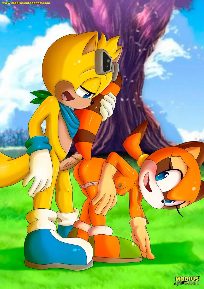 Image 1girls,blush,breasts,female,nipples,open_mouth,1boy,male,nude,penis,tongue_out,tongue,ass,erection,male/female,anthro,sega,sonic_(series),sonic_the_hedgehog_(series),mobian_(species),bbmbbf,palcomix,mobius_unleashed,marine_the_raccoon,ray_the_flying_squirrel