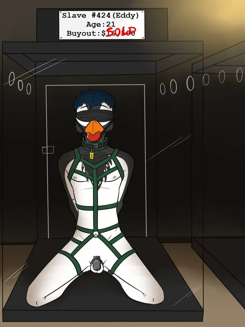 Image hi_res,solo,male,kneeling,male_only,balls,anthro,text,collar,genitals,chastity_cage,english_text,bondage,male_focus,hands_behind_back,avian,bird,blindfold,ball_gag,bound,gag,penguin,chastity_device,harness,fuze,caged,auction,eddy_(eddy_bird32),gentoo_penguin,glass_cage,slave_auction