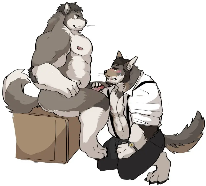 Image blush,hi_res,simple_background,white_background,male,nude,penis,duo,kneeling,muscular,muscular_male,male/male,anthro,sitting,canid,canine,canis,genitals,mammal,wolf,muscular_anthro,pecs,pubes,coyote,william_adler,fuddyblog,kane_(the_smoke_room),niplpes