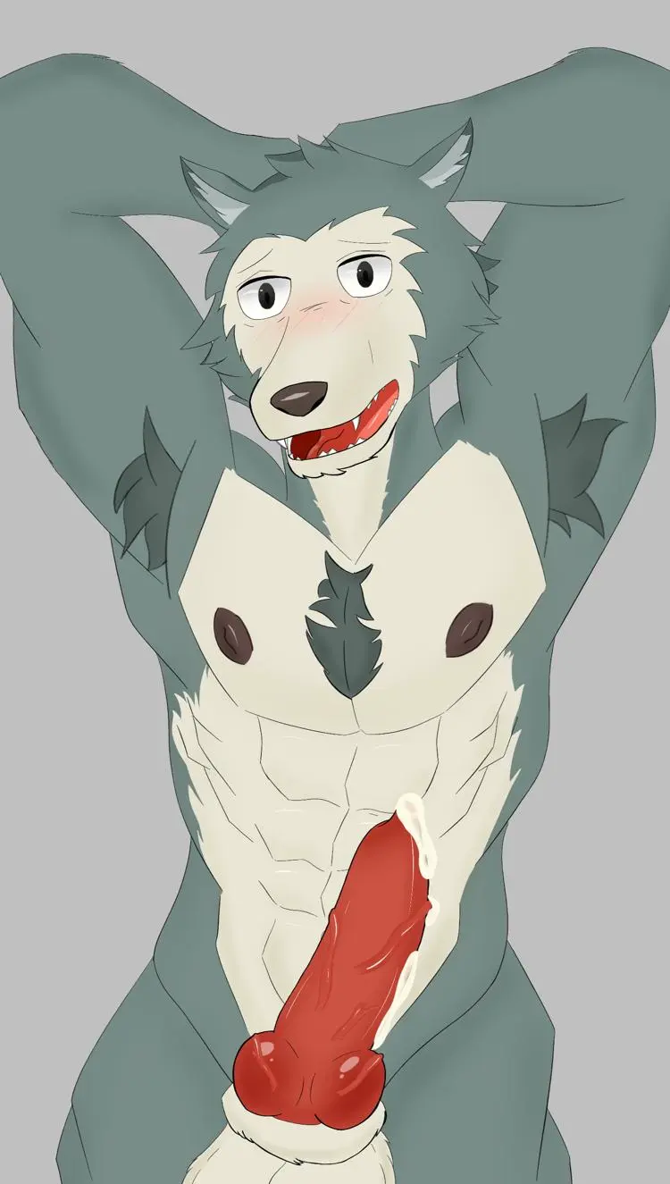 Image blush,hi_res,looking_at_viewer,nipples,simple_background,solo,male,nude,penis,erection,digital_media_(artwork),anthro,genital_fluids,beastars,bodily_fluids,canid,canine,canis,fur,genitals,legoshi_(beastars),mammal,wolf,psxchoxiller_(artist)