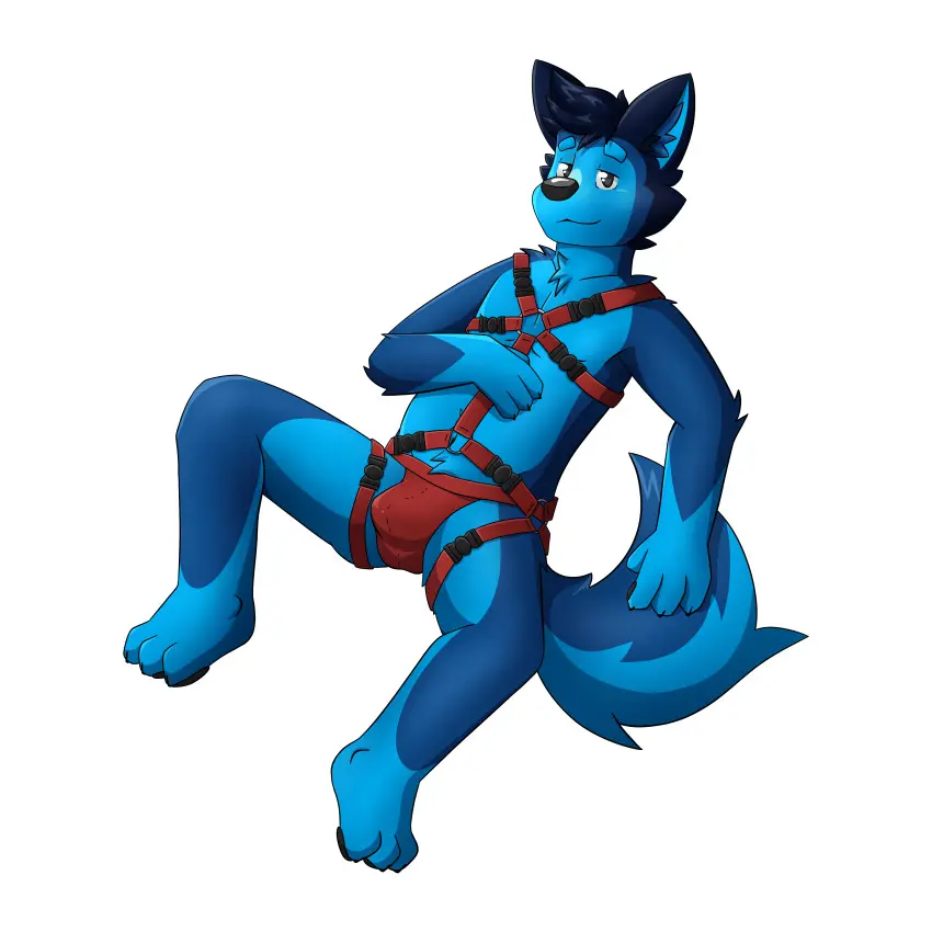 Image clothing,hi_res,looking_at_viewer,simple_background,solo,male,tail,underwear,bedroom_eyes,seductive,feet,watermark,male_only,anthro,absurd_res,grey_eyes,canid,canine,canis,fur,mammal,wolf,black_nose,narrowed_eyes,biped,blue_body,blue_fur,toes,tuft,1:1,blue_inner_ear,pawpads,3_toes,black_ears,inner_ear_fluff,transparent_background,harness,jockstrap,alpha_channel,blue_tail,black_pawpads,hand_on_chest,two_tone_tail,broitscody,multitoned_fur