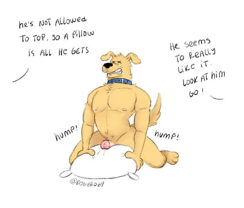 Image hi_res,simple_background,solo,male,nude,penis,male_only,anthro,text,masturbation,collar,bird_dog,canid,canine,canis,domestic_dog,genitals,hunting_dog,mammal,retriever,dialogue,english_text,pillow,collar_only,golden_retriever,dogbro69