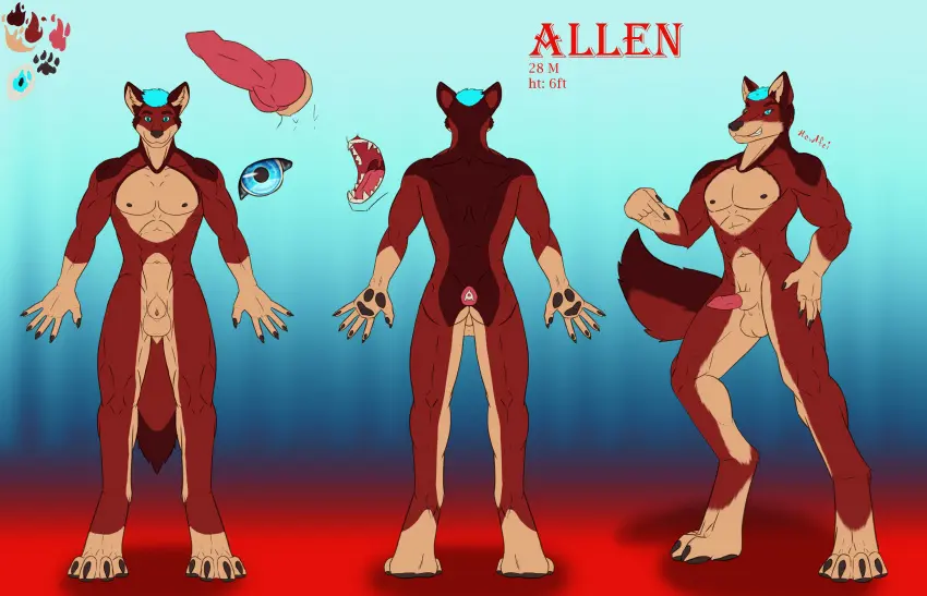 Image hi_res,nipples,open_mouth,smile,solo,blue_eyes,blue_hair,male,nude,penis,tail,tongue,erection,muscular,muscular_male,digital_media_(artwork),teeth,balls,hair,anthro,text,absurd_res,canid,canine,canis,fur,genitals,mammal,multicolored_body,claws,muscular_anthro,paws,english_text,half-erect,animal_genitalia,animal_penis,canine_genitalia,canine_penis,knot,sheath,red_body,pawpads,red_fur,model_sheet,color_swatch,howlfeiwolf,a-pose,allen_(hert123)