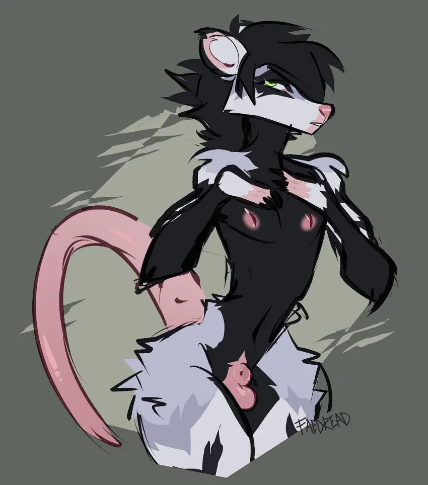 Image hi_res,nipples,solo,black_hair,male,hair,anthro,green_eyes,fur,genitals,grey_body,grey_fur,mammal,black_body,small_waist,animal_genitalia,arm_tuft,fluffy,sheath,tuft,black_fur,american_opossum,marsupial,virginia_opossum,shoulder_tuft,hip_tuft,faedread,ash_(faedread),bald_tail