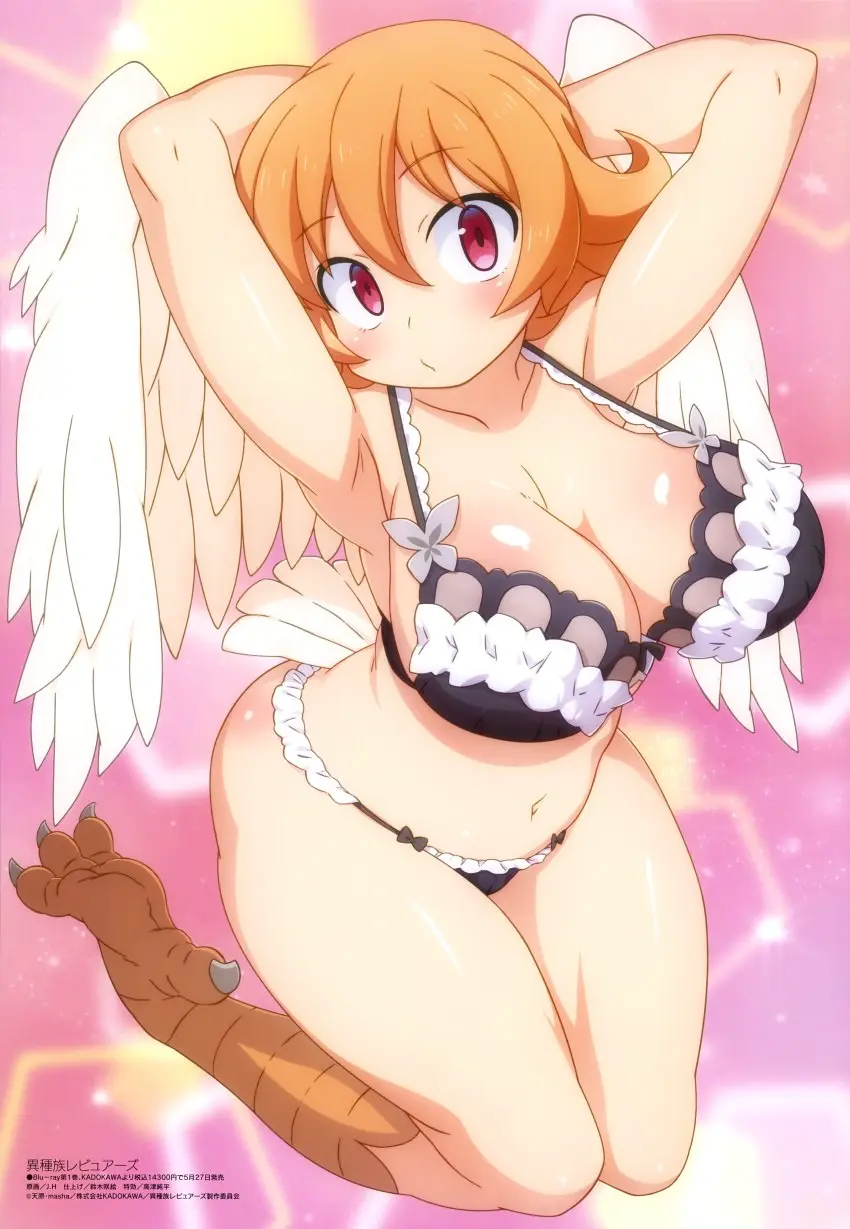 Image breasts,female,female_only,bra,panties,wings,ishuzoku_reviewers,avian,avian_humanoid,official_art,meidri,passione_(company)