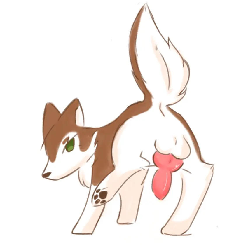 Image hi_res,solo,penis,tail,futanari,intersex,balls,anus,green_eyes,presenting,canid,canine,canis,domestic_dog,genitals,mammal,2024,animal_genitalia,animal_penis,canine_genitalia,canine_penis,knot,raised_tail,feral,feral_only,pawpads,presenting_penis,alternate_version_at_source,colored_line_art,brown_line_art,stup1destg1rl