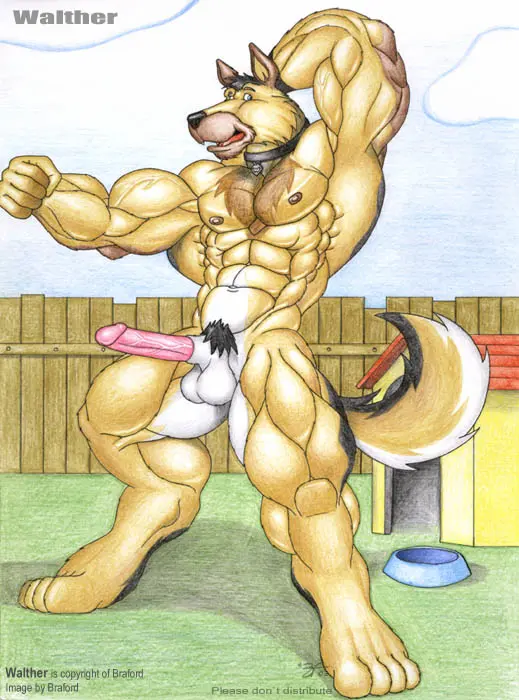 Image looking_at_viewer,nipples,smile,solo,standing,black_hair,blue_eyes,male,nude,penis,erection,humanoid_penis,muscular,muscular_male,feet,balls,hair,anthro,tan_body,veiny_penis,pose,collar,canid,canine,canis,domestic_dog,fur,genitals,mammal,multicolored_body,multicolored_fur,muscular_anthro,black_body,5_fingers,black_nose,white_body,outside,fingers,humanoid_genitalia,big_muscles,brown_fur,vein,toes,animal_genitalia,plant,sheath,tan_fur,brown_body,white_fur,pubes,fence,black_fur,digitigrade,grass,4_toes,collar_only,pink_penis,herding_dog,pastoral_dog,container,hand_behind_head,brown_nipples,german_shepherd,wristband,bowl,huge_muscles,braford,pet_bowl,doghouse,walther_(braford)