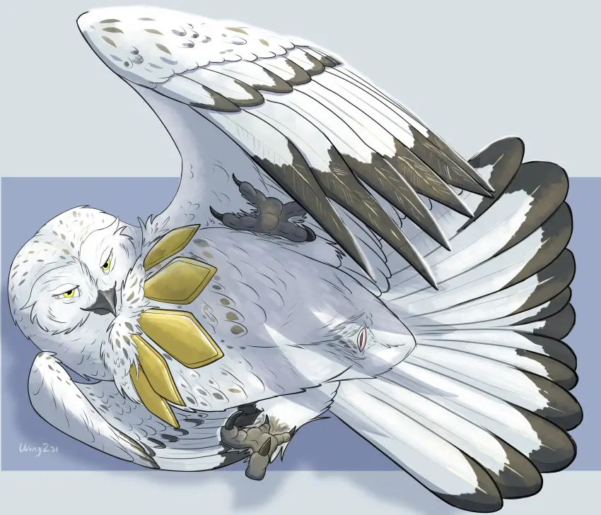 Image hi_res,smile,tail,jewelry,feathers,wings,spread_legs,spreading,absurd_res,inviting,inviting_to_sex,necklace,genitals,teasing,avian,bird,owl,smirk,animal_genitalia,feral,tail_feathers,cloaca,spread_wings,horned_owl,snowy_owl,true_owl,vilver_(hooter),wingz31