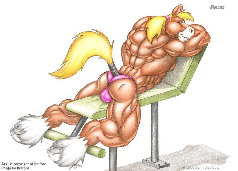 Image long_hair,smile,solo,blue_eyes,male,lying,ass,looking_back,ponytail,muscular,muscular_male,smiling_at_viewer,balls,hair,anthro,text,blonde_hair,bulge,fur,genitals,mammal,muscular_anthro,english_text,big_muscles,brown_fur,tuft,hooves,brown_body,equid,equine,horse,backsack,leg_tuft,on_front,ankle_tuft,braford,weight_bench,white_hooves,ace_(braford)