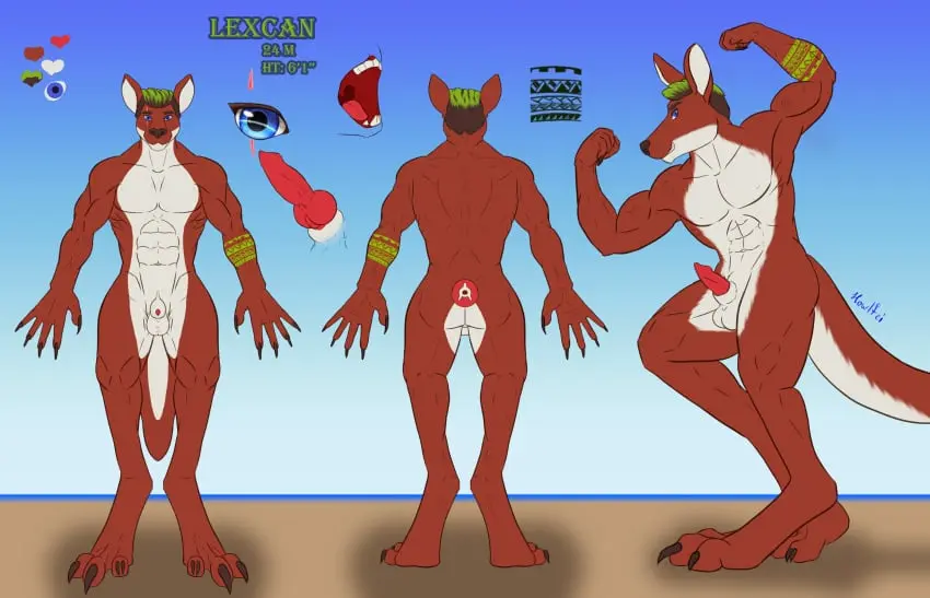 Image hi_res,open_mouth,solo,black_hair,blue_eyes,male,nude,penis,tail,tongue,erection,muscular,muscular_male,digital_media_(artwork),tattoo,teeth,balls,hair,anthro,text,absurd_res,green_hair,fur,genitals,mammal,multicolored_body,two_tone_body,biceps,claws,muscular_anthro,pecs,english_text,half-erect,abs,scar,animal_genitalia,animal_penis,canine_genitalia,canine_penis,sheath,red_body,marsupial,model_sheet,kangaroo,macropod,flexing,howlfeiwolf,long_claws,lexcan_(hert123),red_kangaroo