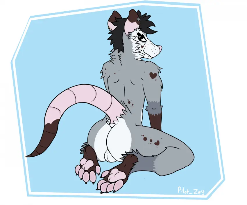 Image hi_res,looking_at_viewer,simple_background,solo,black_hair,male,tail,ass,balls,hair,anthro,piercing,sitting,presenting,fur,genitals,grey_body,grey_fur,mammal,paws,rear_view,ear_piercing,presenting_hindquarters,tuft,raised_tail,heart_symbol,backsack,american_opossum,marsupial,sitting_on_knees,pilot_zeg