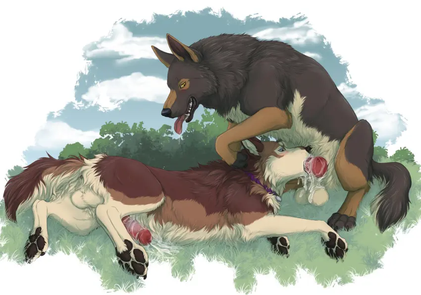 Image blush,cum,cum_in_mouth,male,oral,penis,tongue_out,tongue,sex,duo,fellatio,male/male,balls,cum_inside,genital_fluids,bodily_fluids,canid,canine,canis,domestic_dog,genitals,mammal,wolf,paws,penile,animal_genitalia,animal_penis,canine_genitalia,canine_penis,knot,feral,feral_on_feral,pawpads,herding_dog,pastoral_dog,german_shepherd,ag-wolf,dorosheva-e,toby_(blackwolf89)