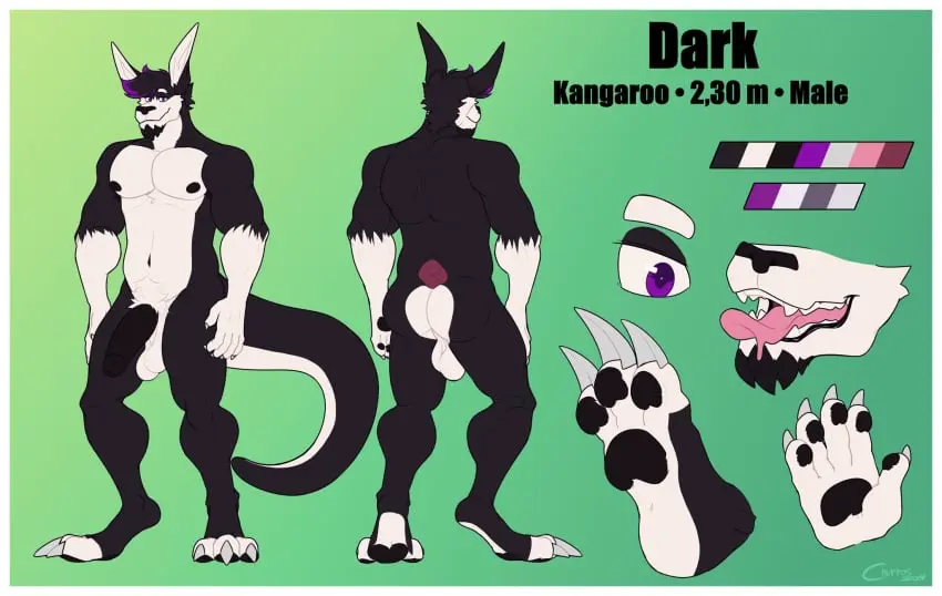 Image hi_res,nipples,solo,male,navel,penis,ass,humanoid_penis,muscular,muscular_male,balls,hair,anthro,purple_eyes,purple_hair,flaccid,fur,genitals,mammal,muscular_anthro,pecs,rear_view,black_body,2024,white_body,front_view,humanoid_genitalia,white_fur,pubes,black_penis,black_fur,pawpads,backsack,marsupial,model_sheet,countershading,black_nipples,kangaroo,macropod,churrosolixoso,uneven_balls,dark_(dark)