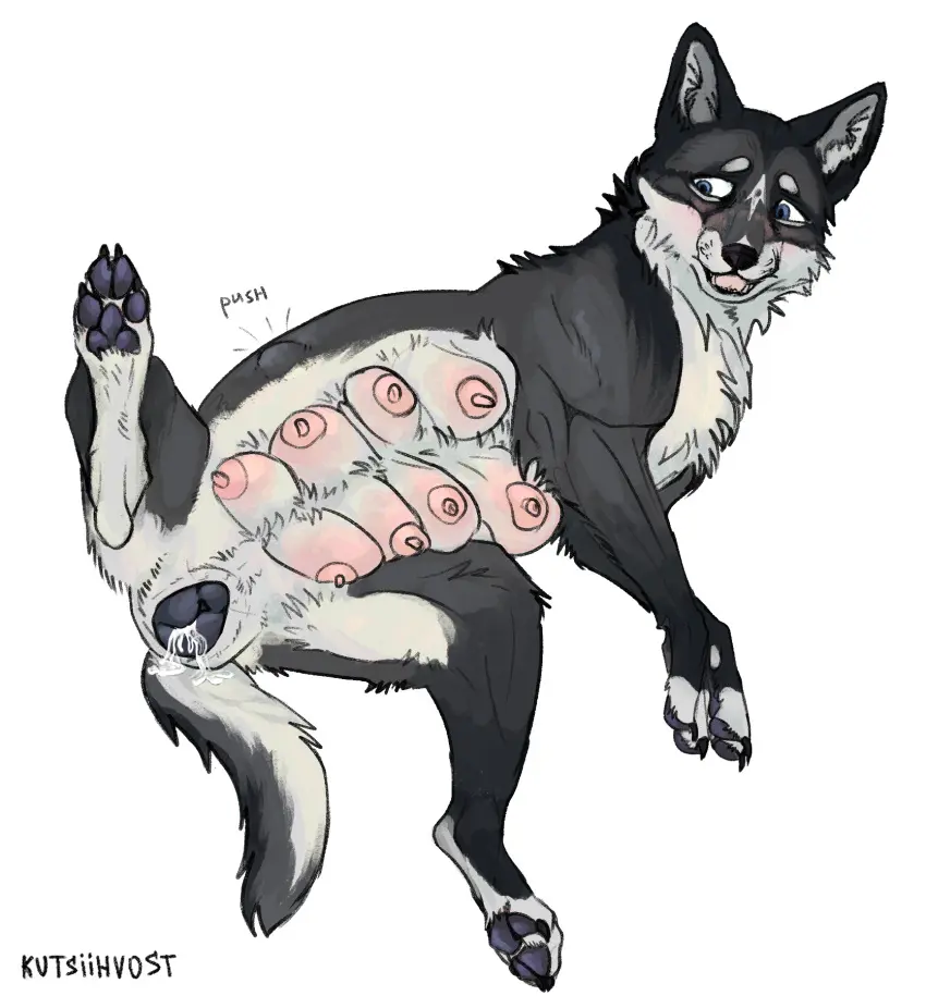 Image breasts,female,hi_res,solo,pussy,pregnant,canid,canine,canis,domestic_dog,genitals,mammal,wolf,animal_genitalia,feral,micro,vore,food,cookie,multi_breast,pushing,kutsiihvost