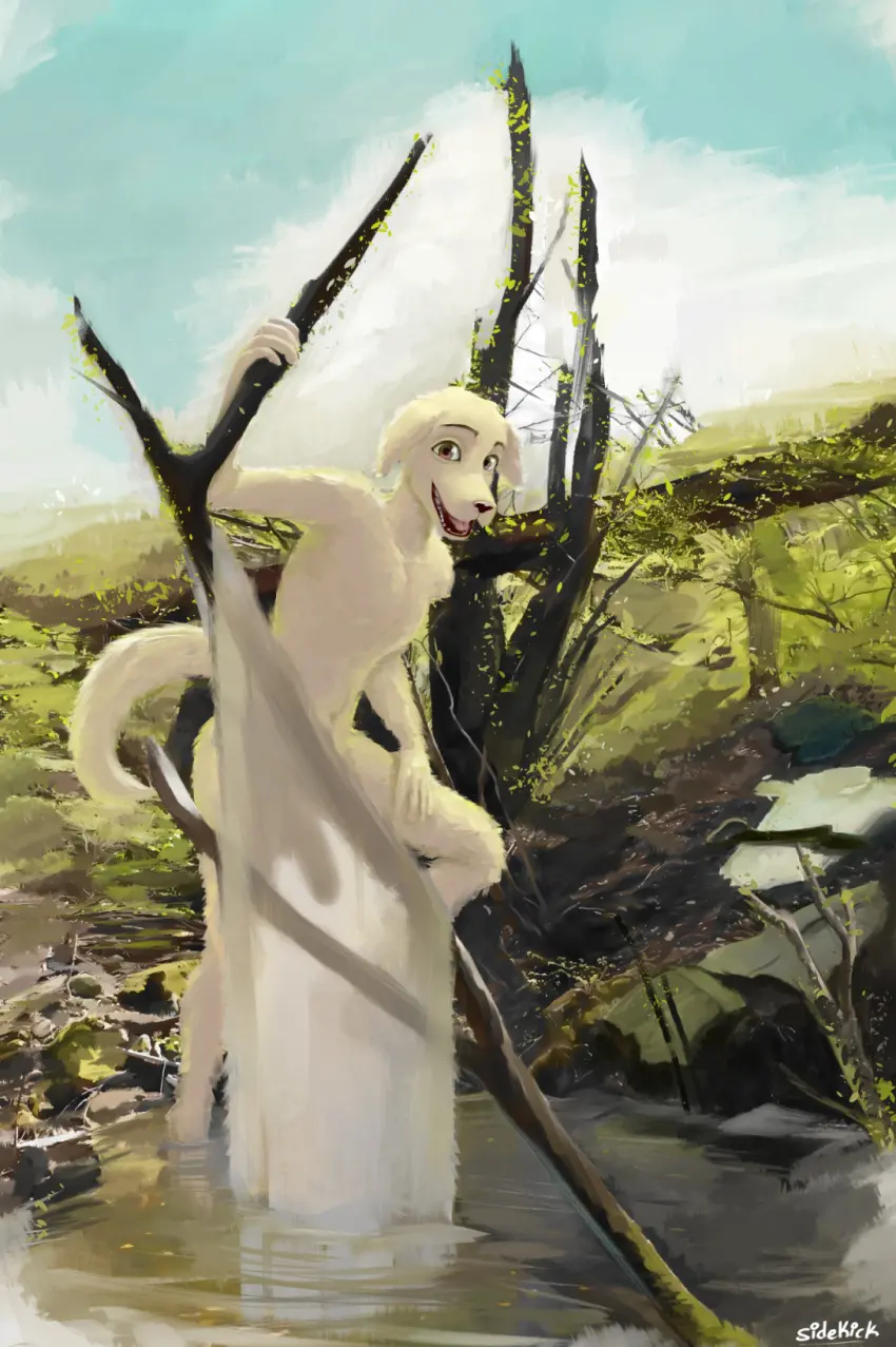 Image hi_res,looking_at_viewer,open_mouth,smile,solo,standing,male,nude,penis,erection,humanoid_penis,water,sky,digital_media_(artwork),digital_painting_(artwork),eyebrows,open_smile,anthro,cloud,beastars,bird_dog,canid,canine,canis,domestic_dog,fur,genitals,hunting_dog,jack_(beastars),labrador,mammal,retriever,2024,outside,tree,humanoid_genitalia,signature,plant,tuft,detailed_background,day,rock,grass,translucent,bent_leg,branch,painterly,sidekick