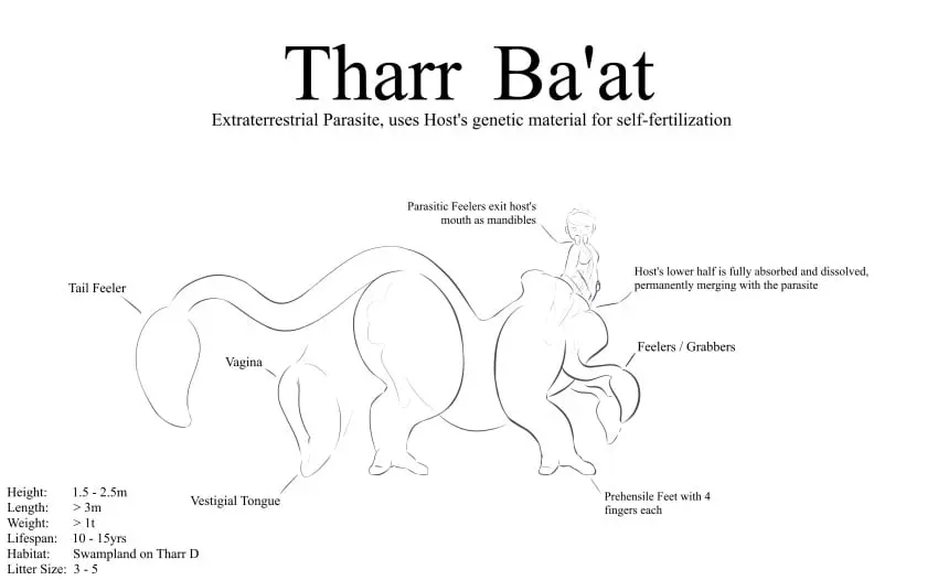 Image breasts,female,hi_res,simple_background,white_background,nude,pussy,tail,duo,feet,digital_drawing_(artwork),digital_media_(artwork),side_view,hair,text,anus,absurd_res,penetration,black_and_white,monochrome,genitals,english_text,toes,animal_genitalia,canine_genitalia,feral,animal_pussy,quadruped,alien,internal,featureless_breasts,canine_pussy,mandibles,long_tail,monotone_background,taur,tauric_creature,merging,parasite,all_the_way_through,prehensile_feet,creature_index,feelers,biology,infographic,label,psychpsyo,tharr_baat