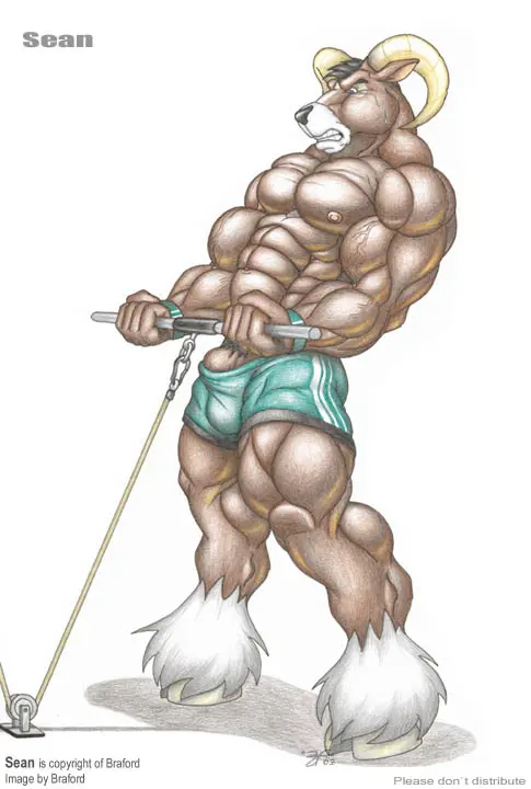 Image clothed,clothing,nipples,simple_background,solo,white_background,black_hair,male,penis,sweat,muscular,muscular_male,pink_nipples,male_only,teeth,hair,anthro,sweatdrop,clenched_teeth,bulge,topless,bodily_fluids,fur,genitals,mammal,muscular_anthro,horn,shorts,5_fingers,black_nose,male_focus,fingers,big_muscles,brown_fur,bovid,vein,tuft,cloven_hooves,hooves,brown_body,pubes,caprine,sheep,bottomwear,traditional_media_(artwork),leg_tuft,wristband,exercise,barely_contained,barely_contained_penis,veiny_muscles,penis_base,workout,weightlifting,ankle_tuft,braford,white_hooves