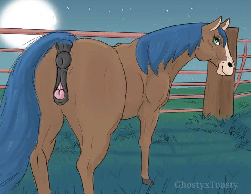 Image female,looking_at_viewer,solo,pussy,tail,ass,big_butt,looking_back,anus,clitoris,presenting,moon,night,genitals,mammal,outside,presenting_hindquarters,animal_genitalia,detailed_background,feral,animal_pussy,clitoral_winking,equine_genitalia,equine_pussy,equid,equine,horse,puffy_anus,mane,equine_anus,ghostyxtoasty