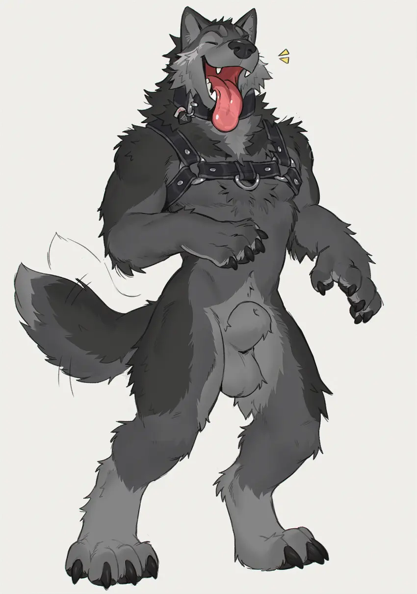 Image hi_res, simple_background, solo, standing, male, tail, tongue_out, tongue, male_only, teeth, balls, anthro, collar, canid, canine, canis, fur, genitals, grey_body, grey_fur, mammal, wolf, fangs, male_focus, animal_genitalia, sheath, harness, tail_motion, tailwag, fully_sheathed, tritscrits
