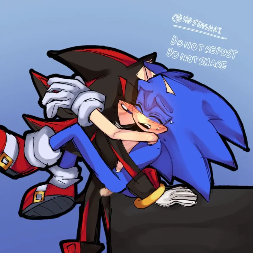 Image male,intersex,2boys,yaoi,vaginal_penetration,vaginal_sex,censored,gay,gay_sex,gay_domination,sega,sonic_(series),sonic_the_hedgehog,sonic_the_hedgehog_(series),cuntboy,shadow_the_hedgehog,sonadow,unnecessary_censorship
