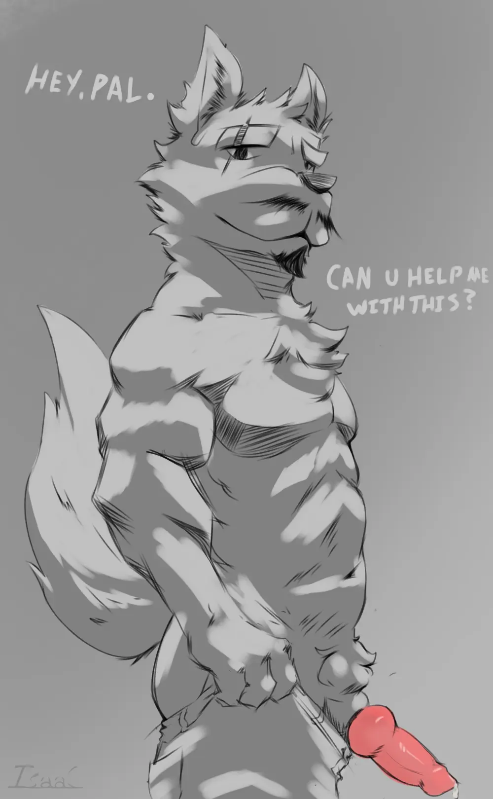 Image hi_res,solo,male,male/male,anthro,knot,isaac_(artist)